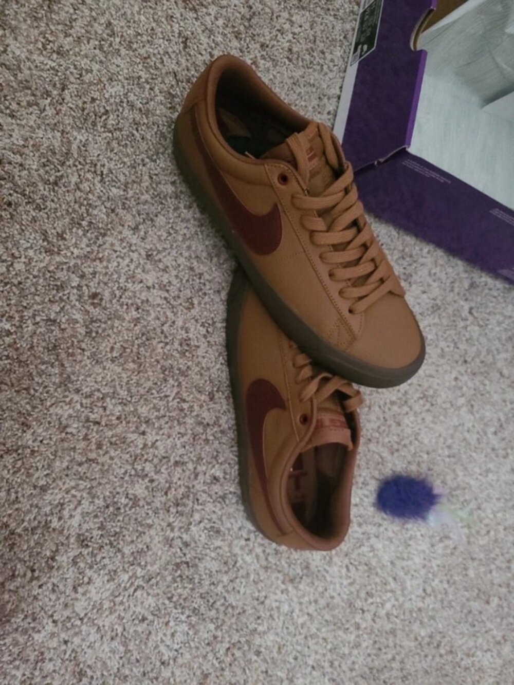Nike blazer low pro gt